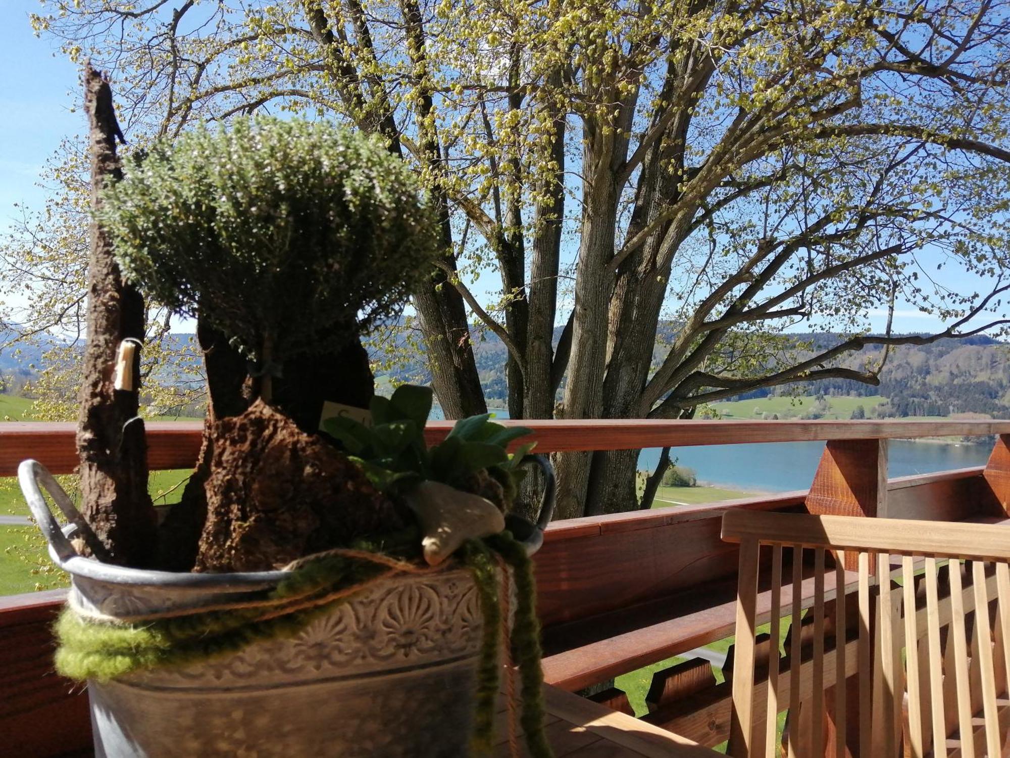 Roiderhof Irrsee Oberhofen am Irrsee Bagian luar foto