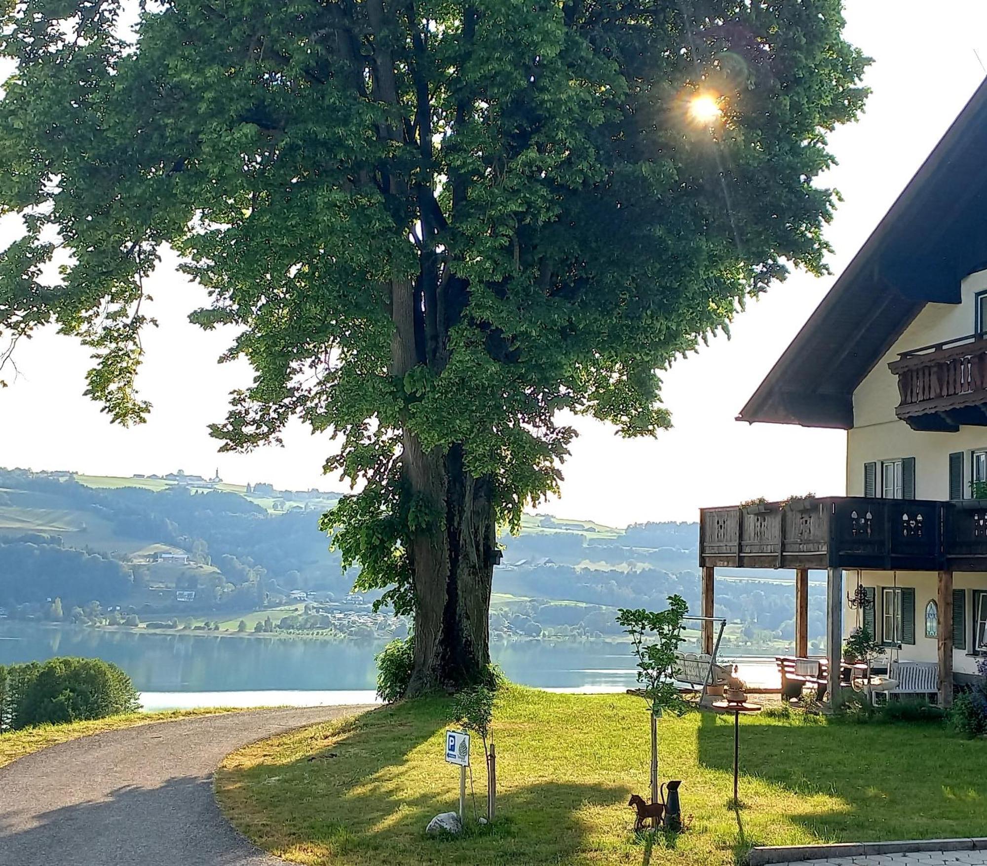Roiderhof Irrsee Oberhofen am Irrsee Bagian luar foto