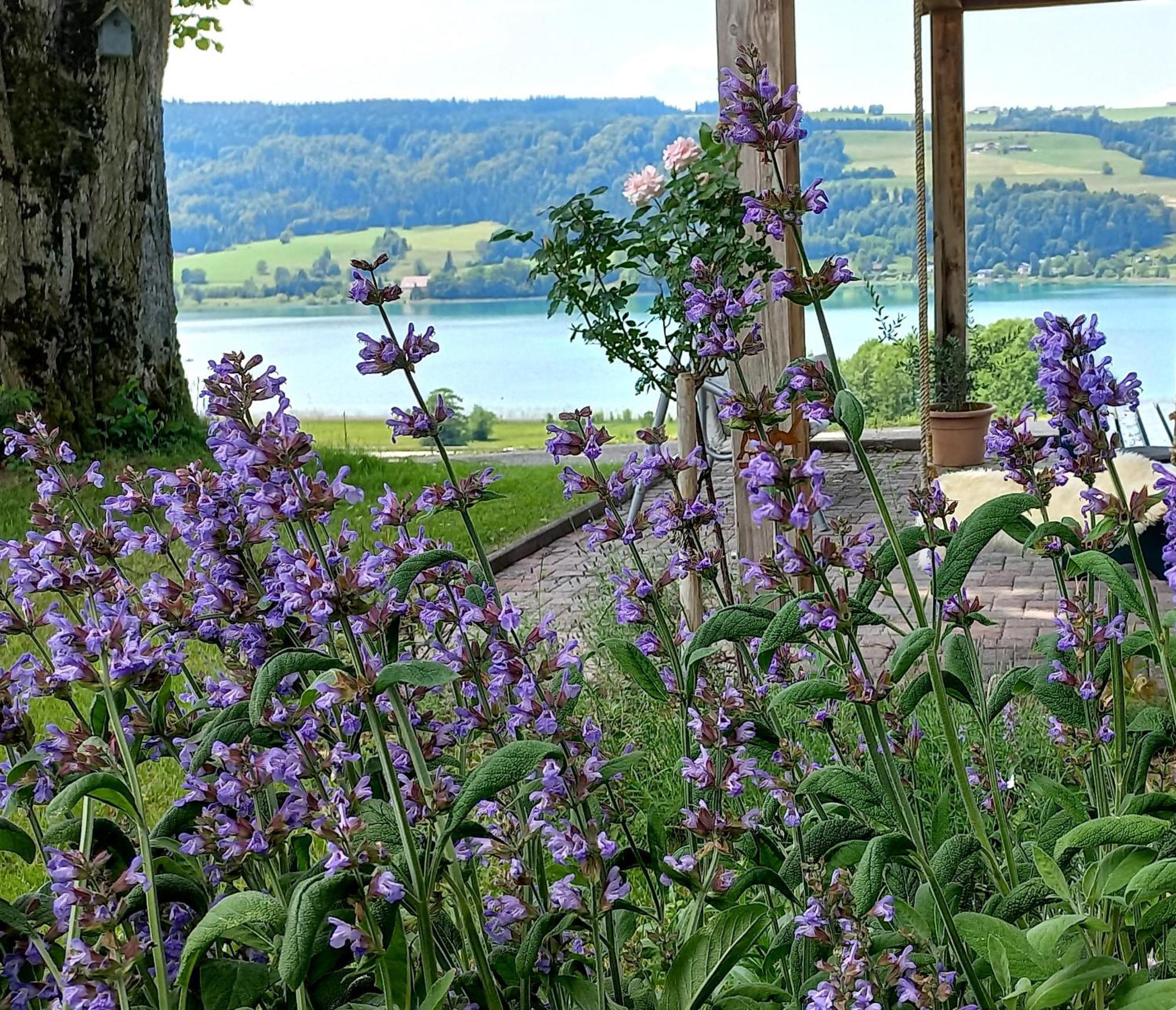 Roiderhof Irrsee Oberhofen am Irrsee Bagian luar foto